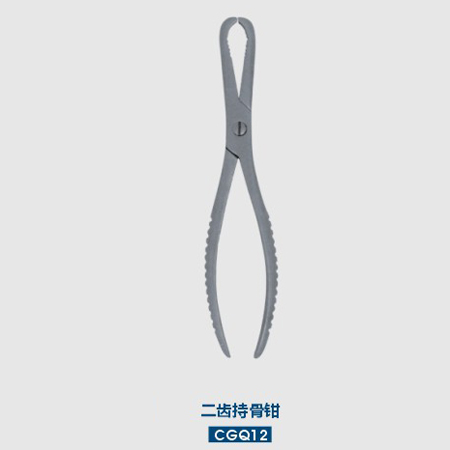 The two tooth bone holding forceps